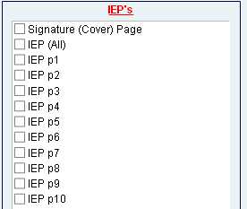 Snapshot of IEP print screen