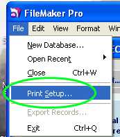 Snapshot of File Menu - Where to find Print Setup